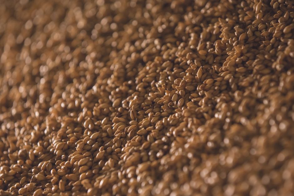 From Grain to Glass: A Beginner's Guide to All-Grain Brewing